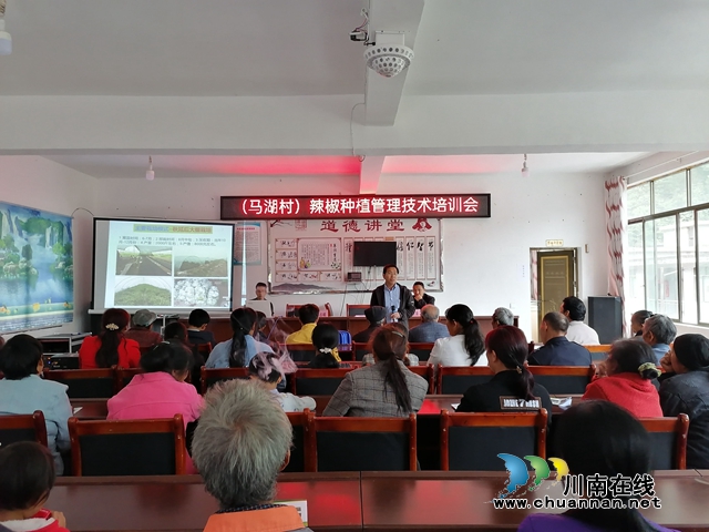 叙永县经济商务科学技术局：平台牵线搭桥，助力乡村振兴