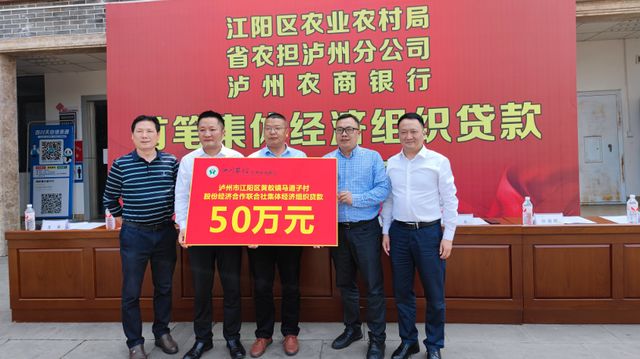 泸州首笔村集体经济贷款成功发放