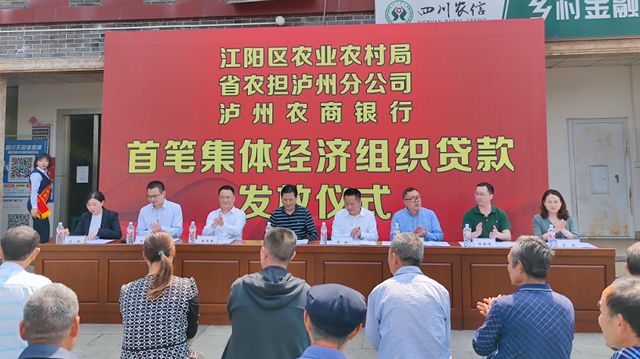 泸州首笔村集体经济贷款成功发放(图2)