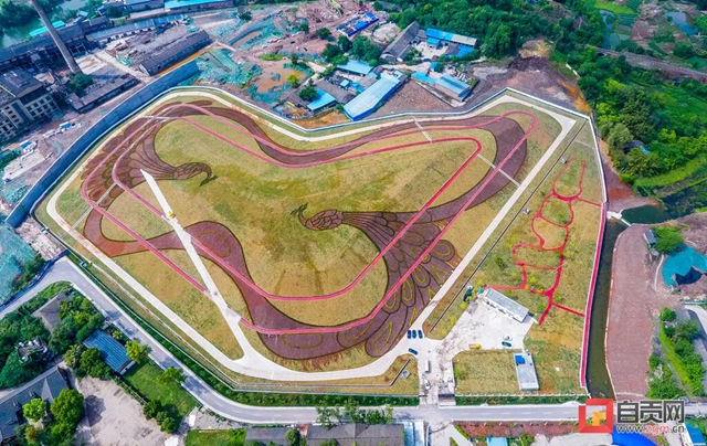 爱了！自贡这里换上“绿装”也太美了吧！(图3)