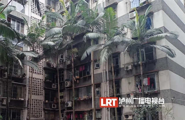 快看，泸州这4个老旧小区换“新颜”了！(图1)