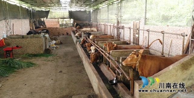 古蔺：多措并举兴产业，省侨联倾力帮扶显成效(图5)