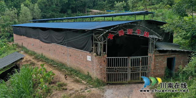 古蔺：多措并举兴产业，省侨联倾力帮扶显成效(图3)