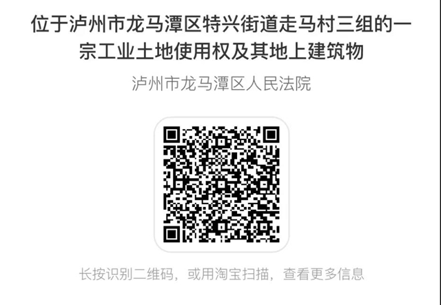龙马潭法院司法拍卖 | 47亩工业用地等你来拍！