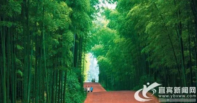 聚焦雪域军魂讴歌边防军人 电视剧《空中突击》在宜宾开机拍摄(图7)