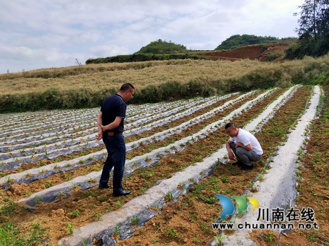 古蔺：汇聚乡贤力量，释放“归雁”效能(图2)