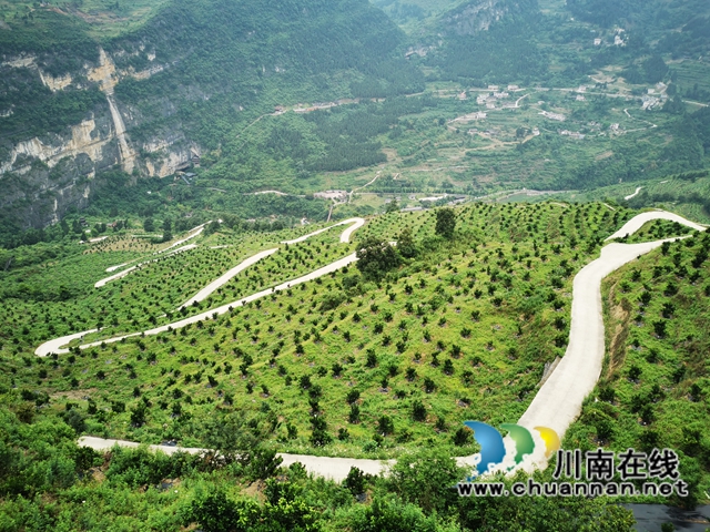 古蔺：汇聚乡贤力量，释放“归雁”效能(图3)