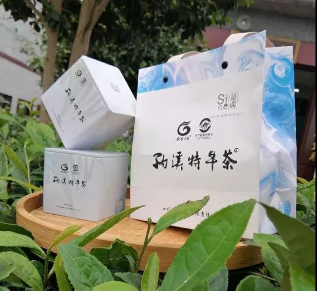 好安逸!周末来纳溪品茶 还有礼品送哟(图4)