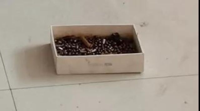 泸州小伙自制枪支并配有“消音器”，大胆拿到户外测试……(图7)