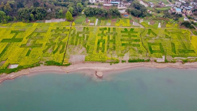 泸州市生态环境系统生物多样性保护主题摄影作品展播(图14)
