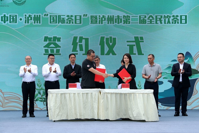 约60万亩！泸州将打造中国特早茶产业带(图1)