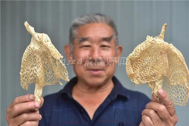 抢“鲜”上市！内江这里的“白裙仙子”太惹人喜欢了！(图7)