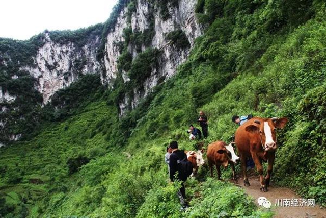 纪录片《航拍赤水河》摄制组“天坑”深处就午餐(图6)