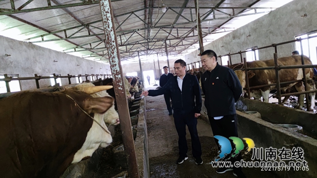 泸州市国土空间规划编制研究中心深入古蔺叙永调研(图3) 泸州市国土空间规划编制研究中心深入古蔺叙永调研(图3)
