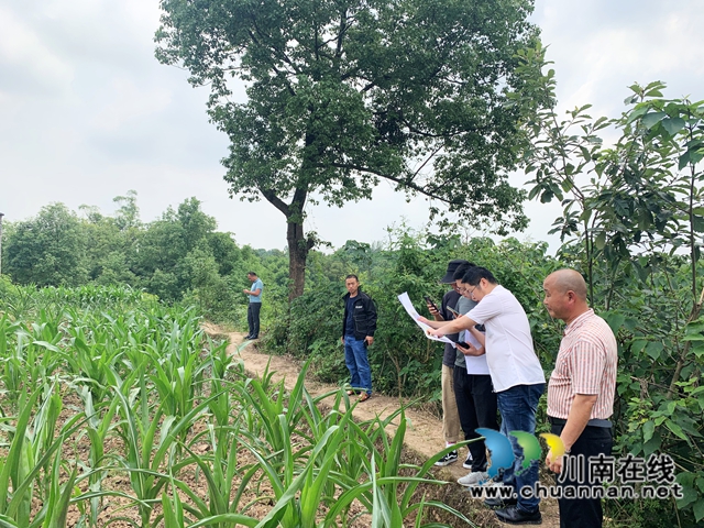 龙马潭区深入推进村规划编制工作(图2) 龙马潭区深入推进村规划编制工作(图2)