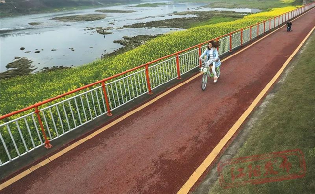 快上车，带你去江阳“最美骑游道”兜风！(图6)