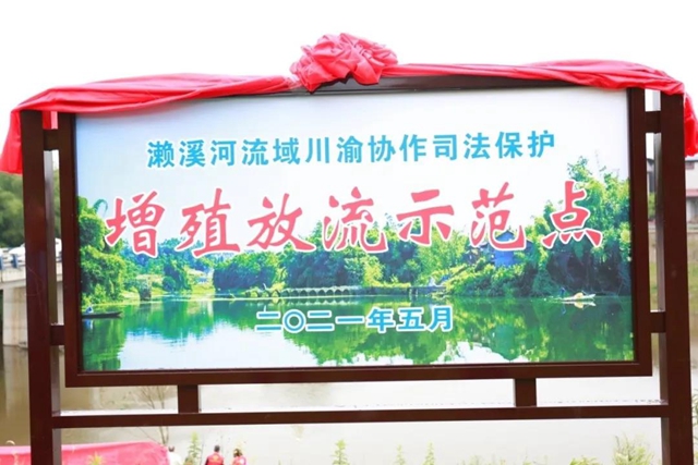 川渝协作成立濑溪河司法保护增殖放流示范点(图3) 川渝协作成立濑溪河司法保护增殖放流示范点(图3)