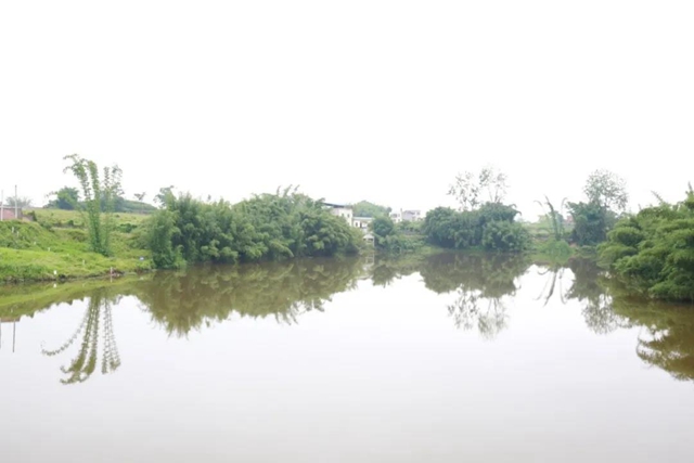 川渝协作成立濑溪河司法保护增殖放流示范点(图2) 川渝协作成立濑溪河司法保护增殖放流示范点(图2)