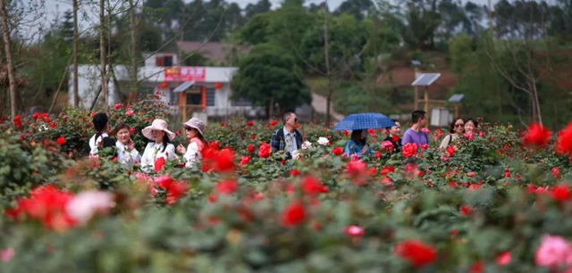 文旅消费季活动启动!宜宾将发放1000万文旅消费券(图2) 文旅消费季活动启动!宜宾将发放1000万文旅消费券(图2)
