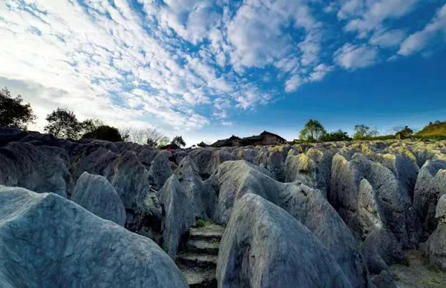 文旅消费季活动启动!宜宾将发放1000万文旅消费券(图5) 文旅消费季活动启动!宜宾将发放1000万文旅消费券(图5)