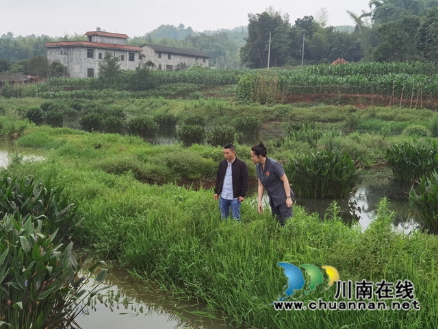 纳溪区法院:妥善处理“三地”案件,护好农民的根子问题(图2) 纳溪区法院:妥善处理“三地”案件,护好农民的根子问题(图2)