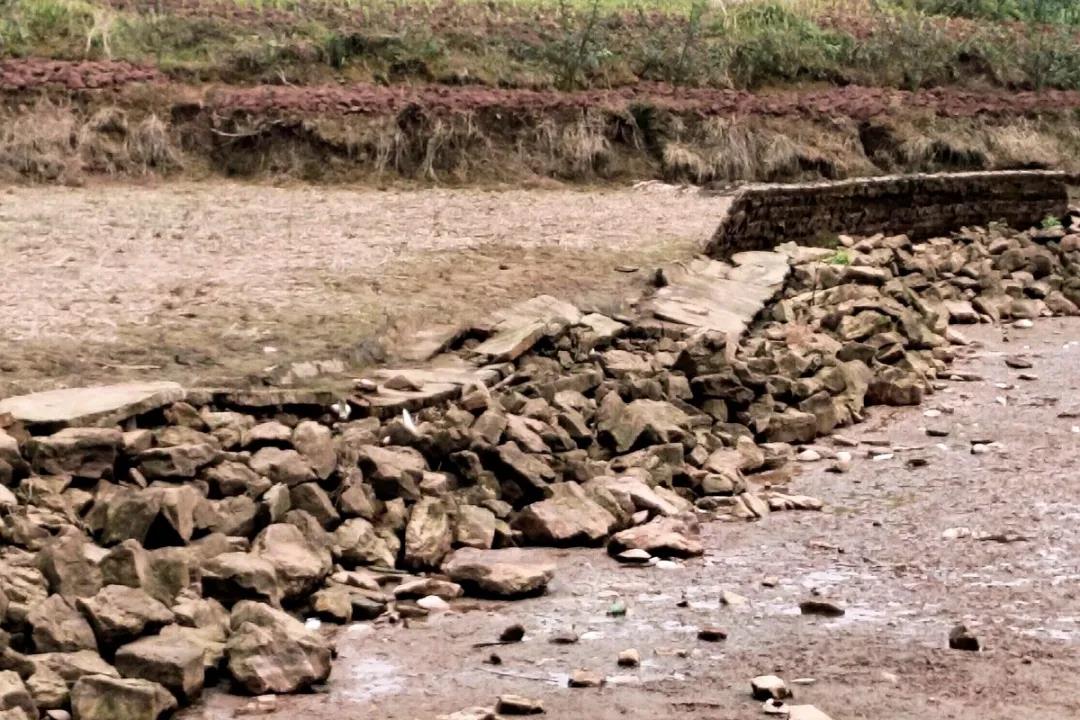 阳光问廉后，泸县福集镇这些村（社区）“一把手”被约谈(图5)