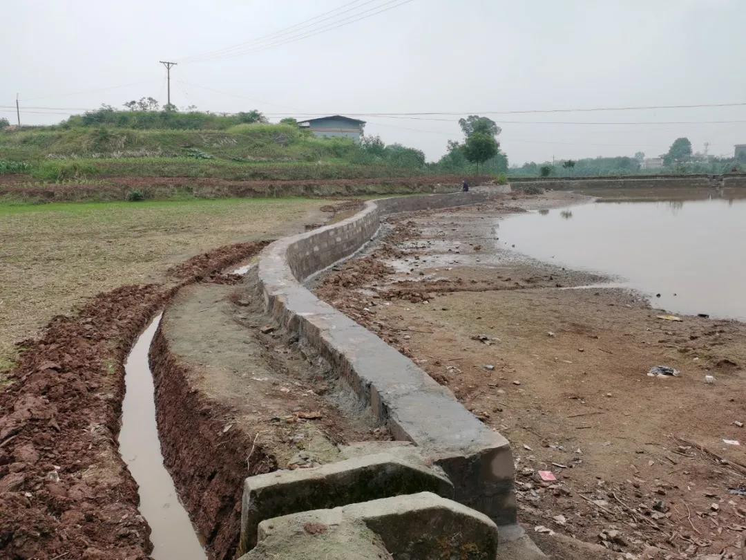 阳光问廉后，泸县福集镇这些村（社区）“一把手”被约谈(图6)