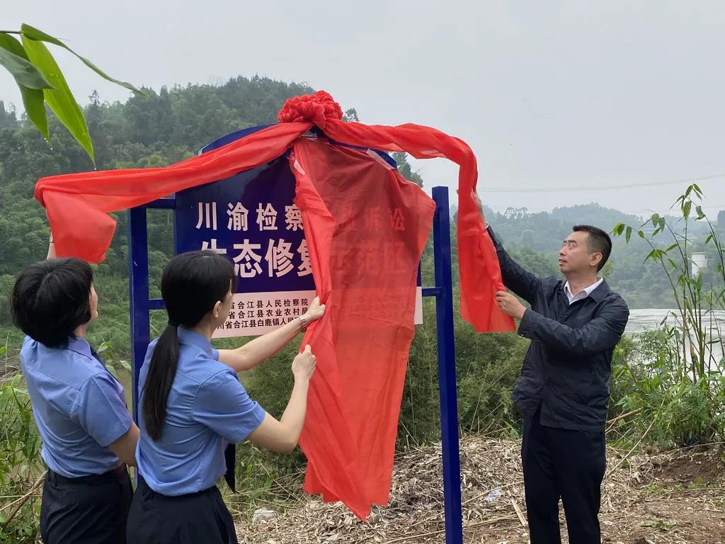 川渝6部门联手在合江设示范区要干什么？