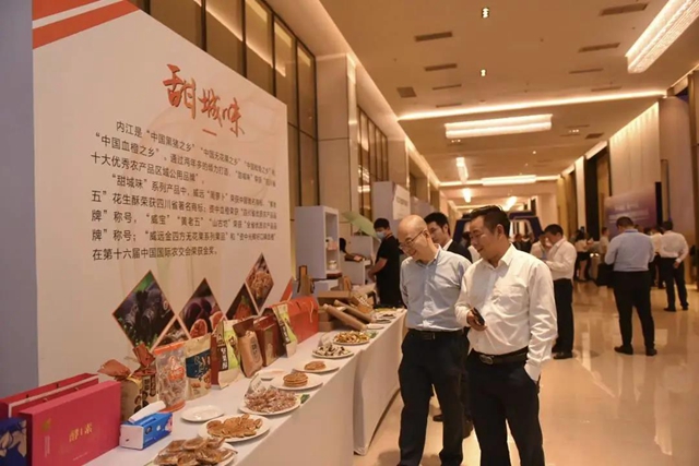 超342亿元！签约34个项目！多个中外名企项目将落户内江(图3)