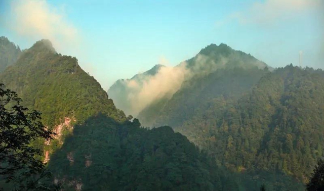 【亲自然】古蔺这儿的夏天繁花似锦，晶莹璀璨……(图15)