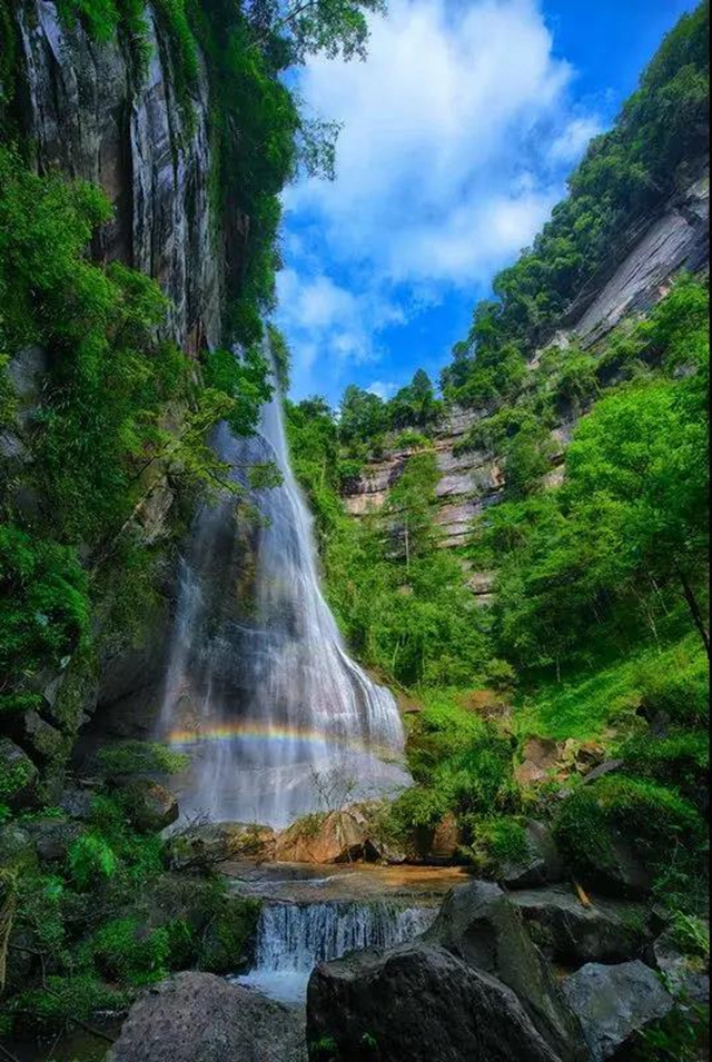 【亲自然】古蔺这儿的夏天繁花似锦，晶莹璀璨……(图17)