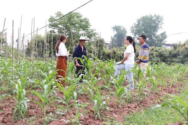 泸县潮河：失而复得的宅基地复垦补偿金