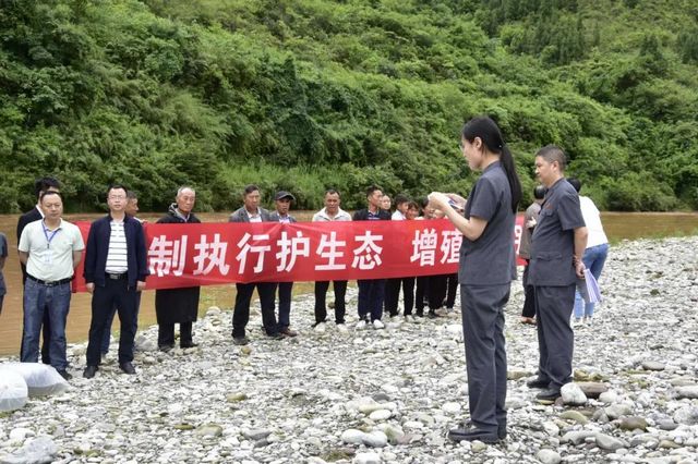古蔺非法捕捞者被判放生鱼苗“补河”……(图3)