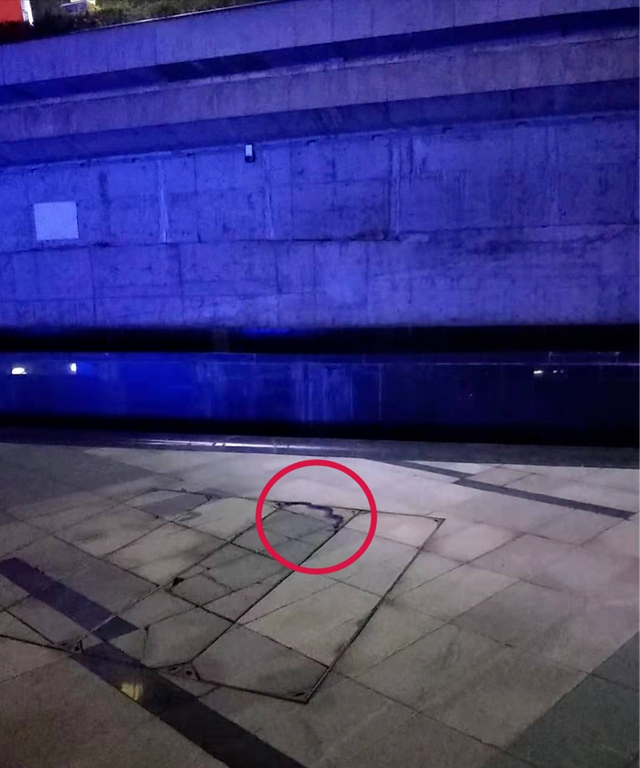 毛骨悚然！宜宾这个地方出现大蛇，还吃了2只鸡！(图2)