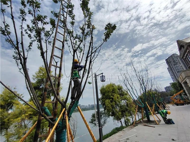 坐不住了！六段锦提升改造完成70%，内江“外滩”初现雏形(图9)