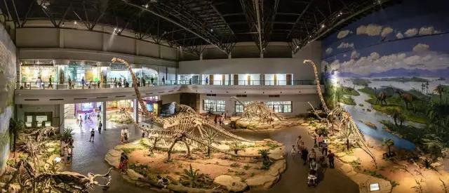 聚焦千年盐都，这项省级大赛在自贡完美收官(图10)