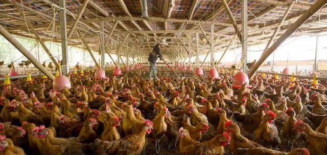 聚焦千年盐都，这项省级大赛在自贡完美收官(图23)