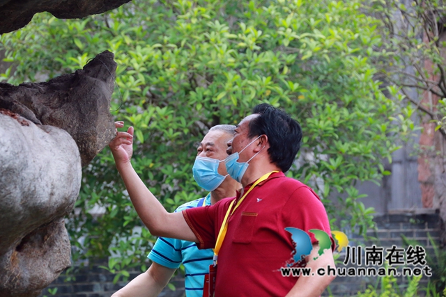 书画逢酒 笔墨飘香丨川中南七市老年书画联展会议代表采风沈子国酒庄(图7)