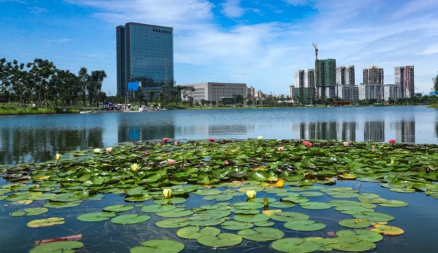 四川唯一！泸州再添一张城市“新名片”(图1)