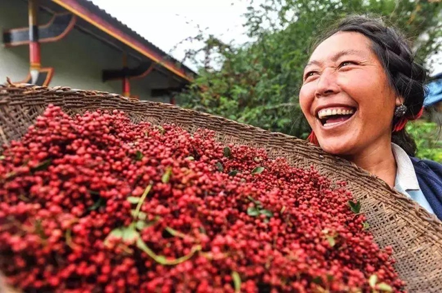 四川：乡村振兴补助资金项目审批权下放到县(图1)