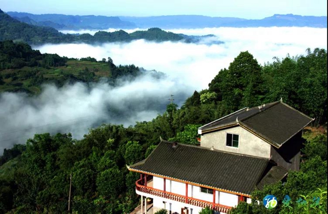 创建天府旅游名县丨纳溪区持续赋能“旅游+”和“+旅游”战略(图3)