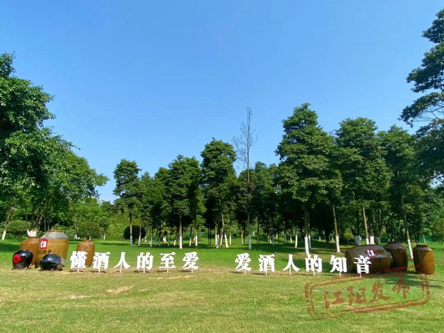 有酒、有景、有故事，泸州这条“宝藏路”你来打卡了没？(图7)