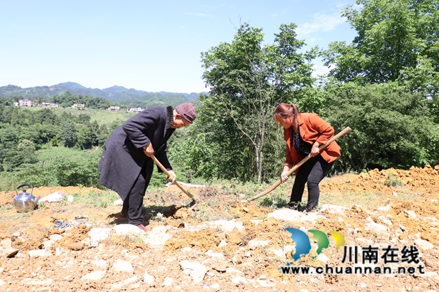 古蔺大寨乡：众人拾柴火焰高，苗汉齐心修路忙(图5)