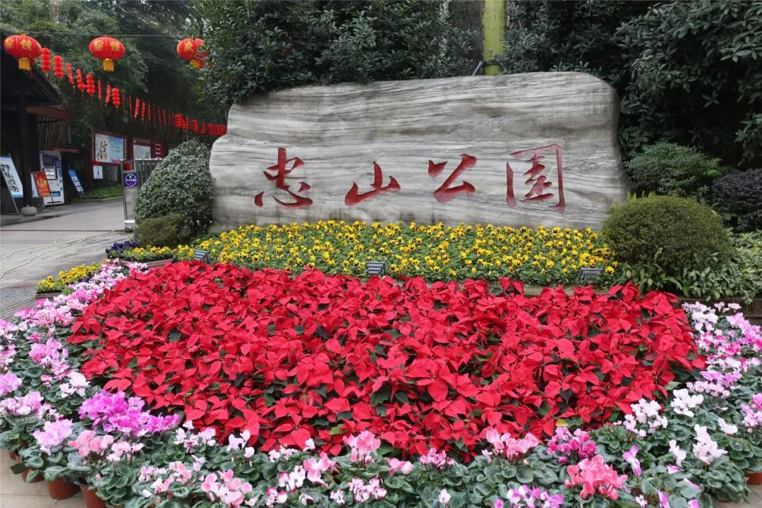 端午出游泸州公交线路合集,这些景点不容错过!(图2) 端午出游泸州公交线路合集,这些景点不容错过!(图2)