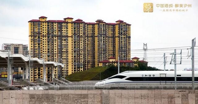 通车在即！一大波美图带你见证泸州高铁从无到有！(图16)