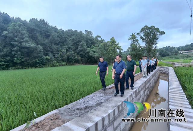 致公党四川省委赴泸开展专题调研(图4)