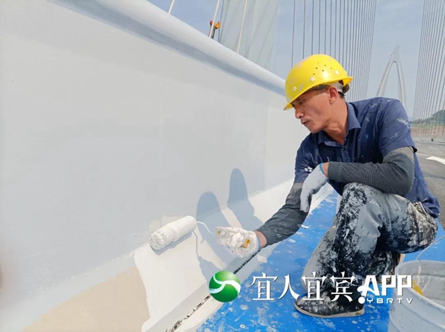 22辆大货车开上了宜宾盐坪坝长江大桥！(图7)