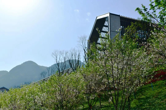 古蔺郎酒特色小镇获选四川省特色小镇(图24)