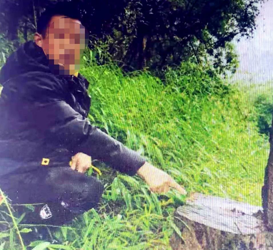 非法采伐桢楠32株，涉案19人，跨3省6市5县作案的团伙伏法！(图6)