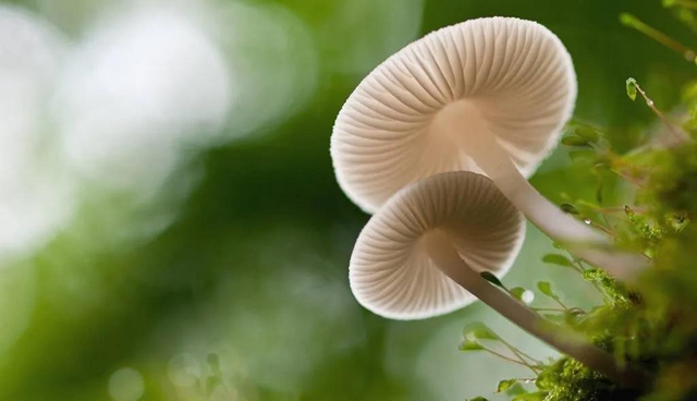 【扩散】最强降雨来袭！好多人都遭了？(图3)